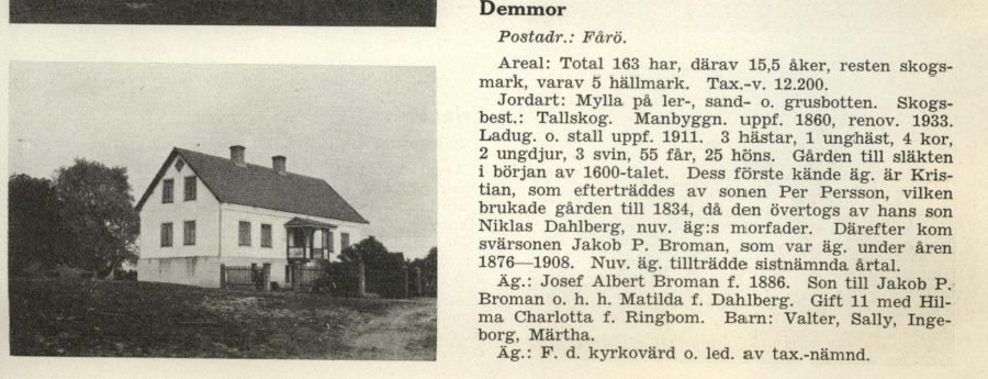 Demmor