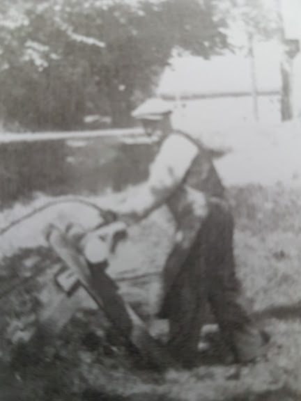 Herman